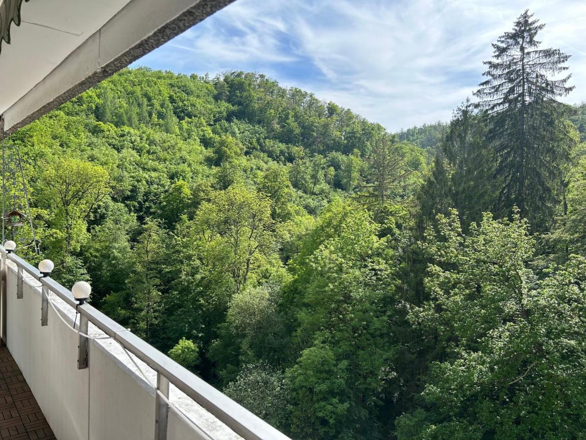 Wald-Idyll: Urlaub Im Gruenen Apartment Bad Harzburg Exterior foto